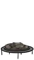 a cartoon of a hippopotamus sitting on a trampoline