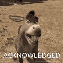 Donkey Acknowledged GIF - Donkey Acknowledged GIFs
