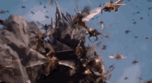 Godzilla Godzilla Vs Megaguirus GIF