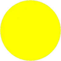 a yellow circle on a white background is empty