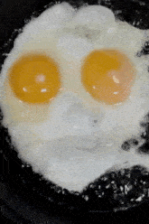 Ovo Frito Egg GIF