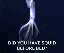 Squid Nature GIF - Squid Nature Livesquid GIFs