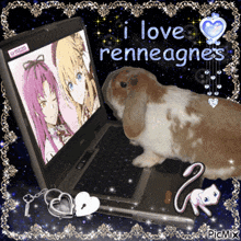 a picture of a rabbit next to a laptop that says i love renneagnes