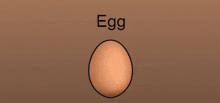 Egg Egg Game GIF
