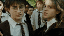 Harry Potter Hermione Granger GIF - Harry Potter Hermione Granger GIFs