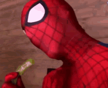Spiderman Chef_remy GIF