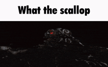 What The Scallop Hedorah GIF