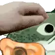 a person is holding a frog on their head with their hand .