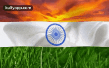 Sky Clouds Field Describes National Flag Of India.Gif GIF - Sky Clouds Field Describes National Flag Of India Independence Day Trending GIFs