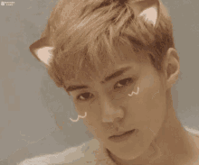 Sehun Cat GIF - Sehun Cat K Pop GIFs