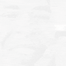 a pixel art drawing of a squirrel with the letter i visible