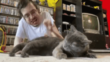 cute ricky berwick slap his cheeks roll over playing with cat