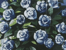a bunch of blue roses with green leaves
