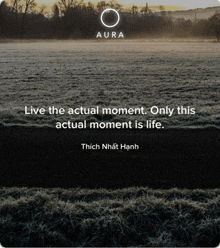a picture of a field with a quote from thích nhật hanh