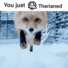 Therian You Just Got Therianed GIF - Therian You Just Got Therianed Fox Therian GIFs