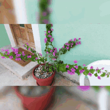 Shana Tova Flower GIF - Shana Tova Flower GIFs