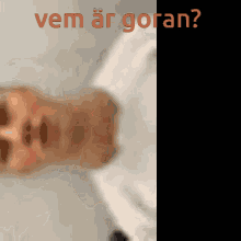 Vemär Goran Viggolainen GIF - Vemär Goran Viggolainen Viggo Orn GIFs