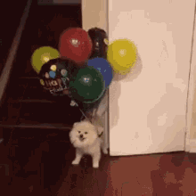 Dog Fly GIF - Dog Fly Balloons GIFs