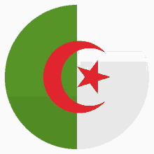 flag algerian