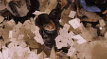 GIF
