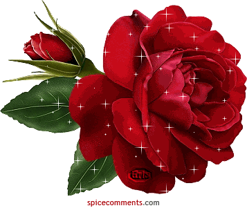 Red Red Rose Sticker - Red Red Rose Flowe Stickers