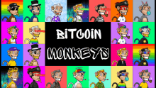 Bitcoin Monkeys Btc Monkeys GIF - Bitcoin Monkeys Btc Monkeys GIFs