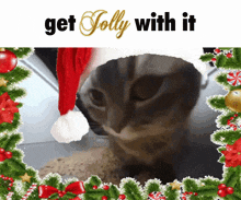 Cat Jolly GIF - Cat Jolly Christmas GIFs