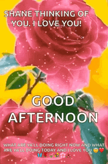 Good Afternoon GIF - Good Afternoon Good Afternoon GIFs