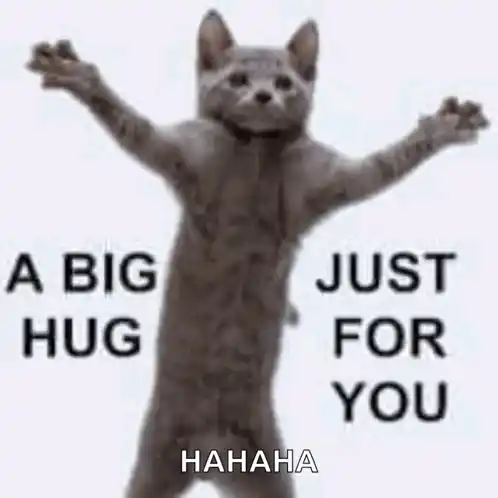 Hug Cat Love GIF - Hug Cat Love GIFs