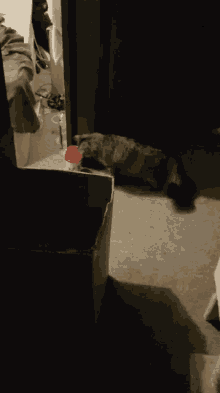 Thief Busted GIF - Thief Busted Sneaky GIFs