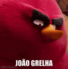 Joao Grelha GIF - Joao Grelha Joao Grelha GIFs