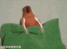 Bird Snuggle GIF