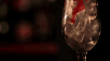 The Dark And Fruity GIF - Dark And Fruity Lab Cocktail GIFs