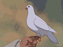Snow White And The Seven Dwarves Dove GIF