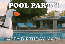 Celebrating Party GIF - Celebrating Party Pool GIFs