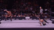 two wrestlers in a wrestling ring with a crowd watching