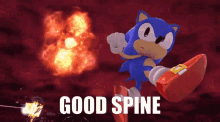 Good Spine Sonic GIF - Good Spine Sonic Meme GIFs