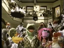 Muppets GIF - Muppets GIFs
