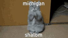 Michigan Shalom GIF - Michigan Shalom GIFs