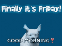 Finally Its Friday Dog GIF - Finally Its Friday Dog Jumping GIFs