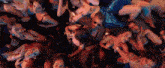 a group of women are laying on the floor looking up at the camera .