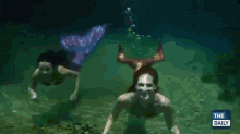 swimming underwater mermaids mermaid