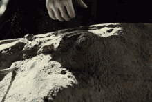 a black and white photo of a person 's hand on a pile of dirt