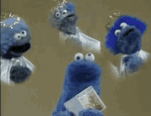 Dont Eat The Pictures Cookie Monster GIF - Dont Eat The Pictures Cookie Monster Sesame Street GIFs