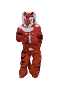 Clemson Tigers GIF