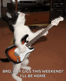 Cat Guitar GIF - Cat Guitar GIFs