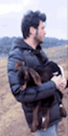 Excited Goat GIF - Excited Goat Pet GIFs