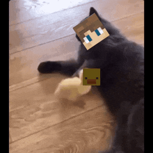a cat laying on the floor with a picture of a man on its head