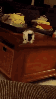 a cat is sitting on a wooden table with a tray on top of it