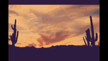 a sunset in the desert with cactus in the foreground
